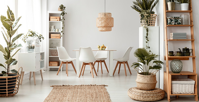 Styl boho we wnętrzach – co należy o nim wiedzieć?