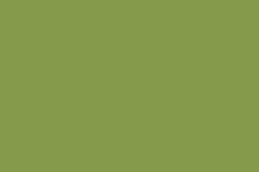 Wycinek płyty w formacie 900 x 600 mm Laminat EGGER U626 ST9 Zieleń kiwi 1310x2800x0.8 mm