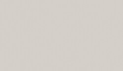 Szary jasny solid (U7081)